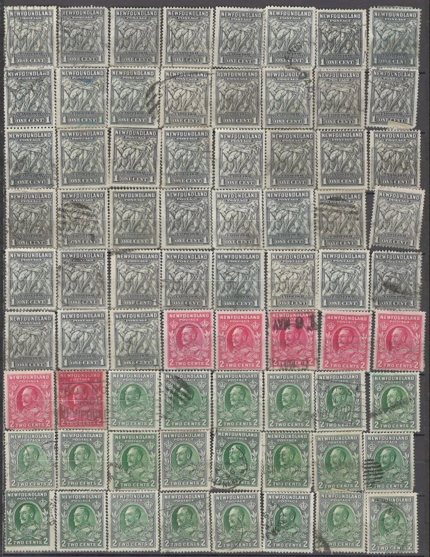 COLLECTION LOT OF # 895 NEWFOUNDLAND 72 STAMPS 1932+ CLEARANCE UNCHECKED