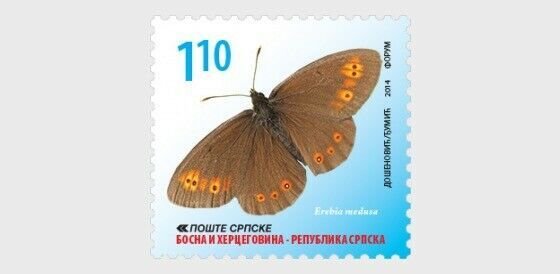 2014    BOSNIA  -  SG: n/a  -  BUTTERFLIES - UNMOUNTED MINT SET OF 5