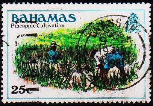 Bahamas. 1980 25c S.G.566 Fine Used