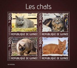 GUINEA - 2019 - Cats - Perf 4v Sheet - Mint Never Hinged