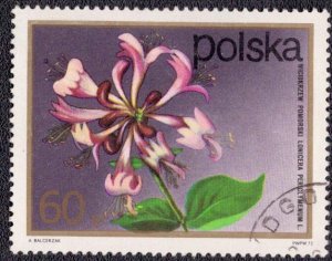 Poland 1937 1972 Used