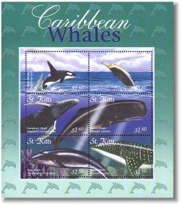 ST. KITTS SHEET MARINE LIFE CARIBBEAN WHALES