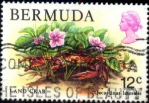 Marine Life, Land Crab, Bermuda stamp SC#369 used