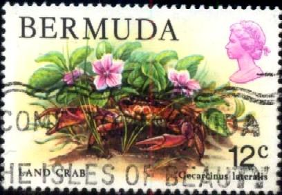 Marine Life, Land Crab, Bermuda stamp SC#369 used