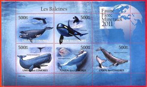 A3827 - Comoros - ERROR MISPERF, Miniature Sheet - 2011, Whales, Marine life