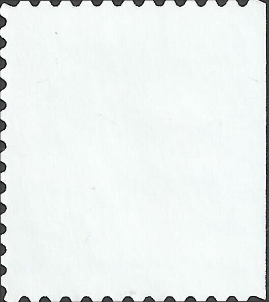 # 3296a USED STRAWBERRIES