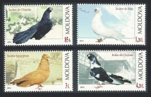Moldova Breeds of Pigeon Birds 4v 2012 MNH SG#782-785 MI#799-802