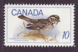 Canada #497 Ipswitch Sparrow MNH single