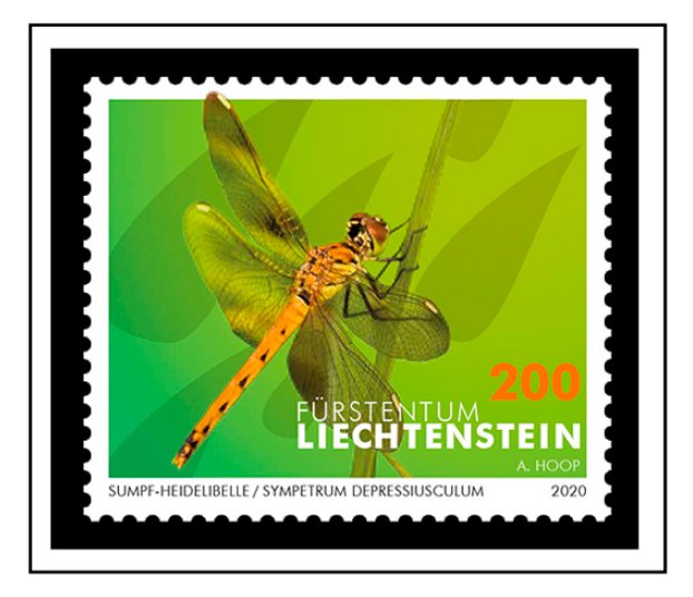 COLOR PRINTED LIECHTENSTEIN 2011-2020 STAMP ALBUM PAGES (66 illustrated pages)