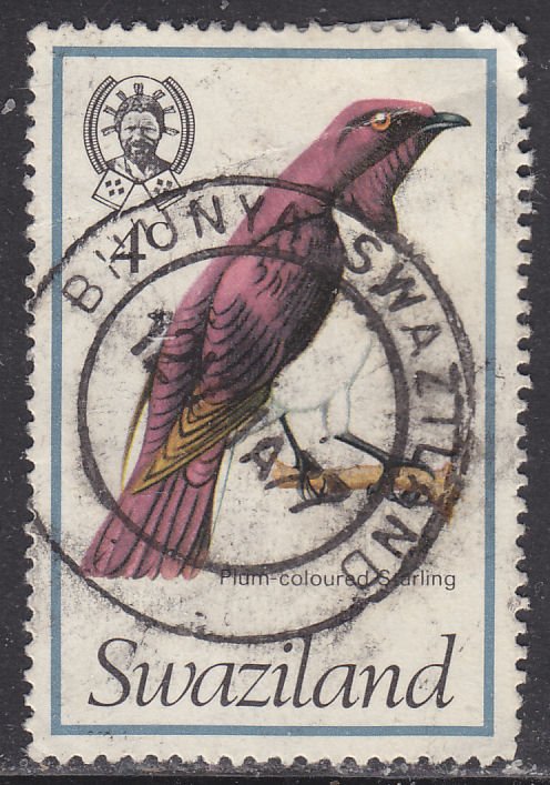 Swaziland 247 Plum-Coloured Starling 1976