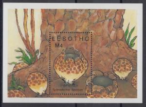 XG-AD440 LESOTHO - Music, 1989 Nature, Trees MNH Sheet