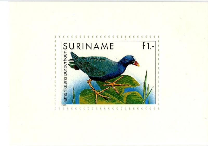 SURINAME 725a MNH S/S SCV $6.00 BIN $4.00 BIRDS