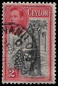 Ceylon #278 Used; 2c Tapping Rubber Tree - Perf 11 x 11 1/2(1944)