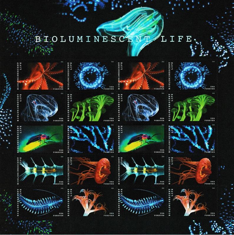 US 5264-5273 5273a Bioluminescent Life forever sheet (20 stamps) MNH 2018