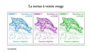 Guinea - 2020 Red-bellied Short-necked Turtle - 3 Stamp Sheet - GU200209a