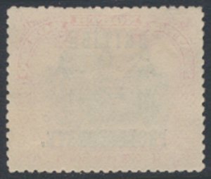 North Borneo SG 138   Used SC# 114 *  opt bbrc perf 13½ x 14   see details &...