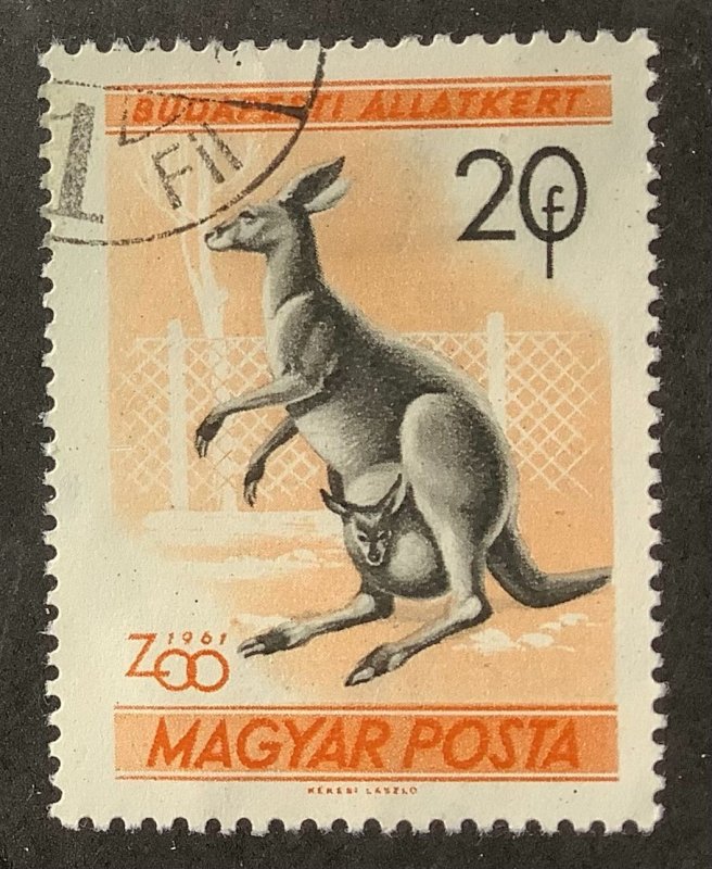 Hungary 1961 Scott 1346 used - 20f,  Budapest  Zoo, Eastern Grey Kangaroo