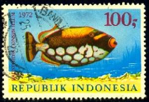 Fish, Spotted Triggerfish, Indonesia stamp SC#836 used
