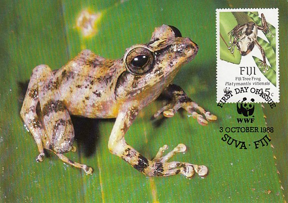 Fiji 1988 Maxicard Sc #594 45c Fiji Tree frog WWF
