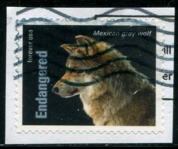 5799o US (63c) Endangered Species - Mexican Gray Wolf SA, used on paper