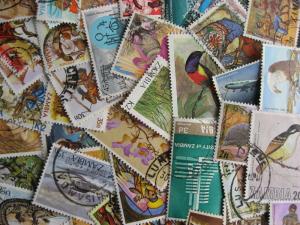 Collection breakdown! 40 different ZAMBIA stamps, some mixed condition