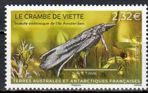 TAAF - Postfris/MNH - Insects 2024