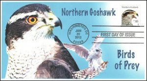 AO-4608, 2012, Birds of Prey, Add-on Cachet, First Day Cover, SC 4608, Northern