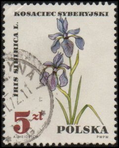 Poland 1515 - Used - 5z Siberian Iris / Medicinal Plant (1967) (2)