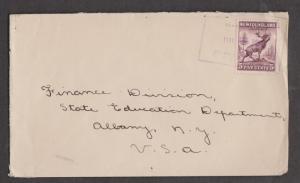 NEWFOUNDLAND Cover To USA With 5 Cent Caribou Stamp - Indistinct Box Cancel