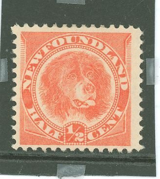 Newfoundland #57 Unused Single