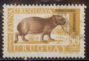 Uruguay 1970 SC# C363 Used L394