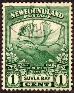 1919, Newfoundland 1c, Used, Sc 115