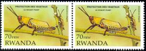 Insect, Elegant Grasshopper, Rwanda SC#1377 MNH Pair