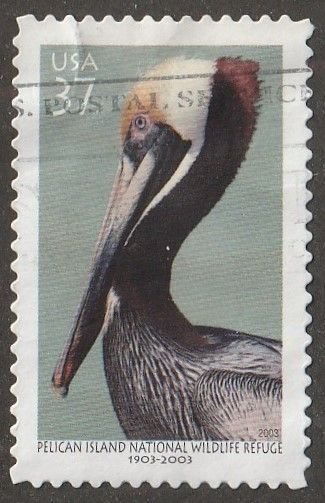 USA, stamp,  scott#3774,  used, hinged,  Pelican, 37 cents,