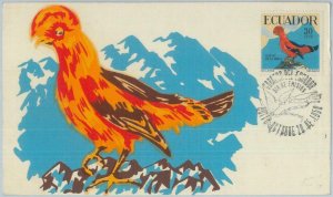 81402 -  ECUADOR  - Postal History -  MAXIMUM CARD -  BIRDS parrot  1958