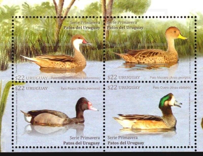 BIRD NEW ISSUE 2018 URUGUAY STAMP SHEET MNH SET DUCK VOGEL AVES BRIDGE