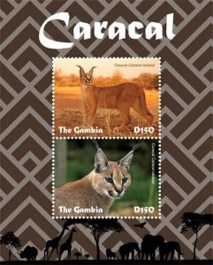 Gambia 2019 - Caracal - Animals - Souvenir Stamp Sheet - MNH