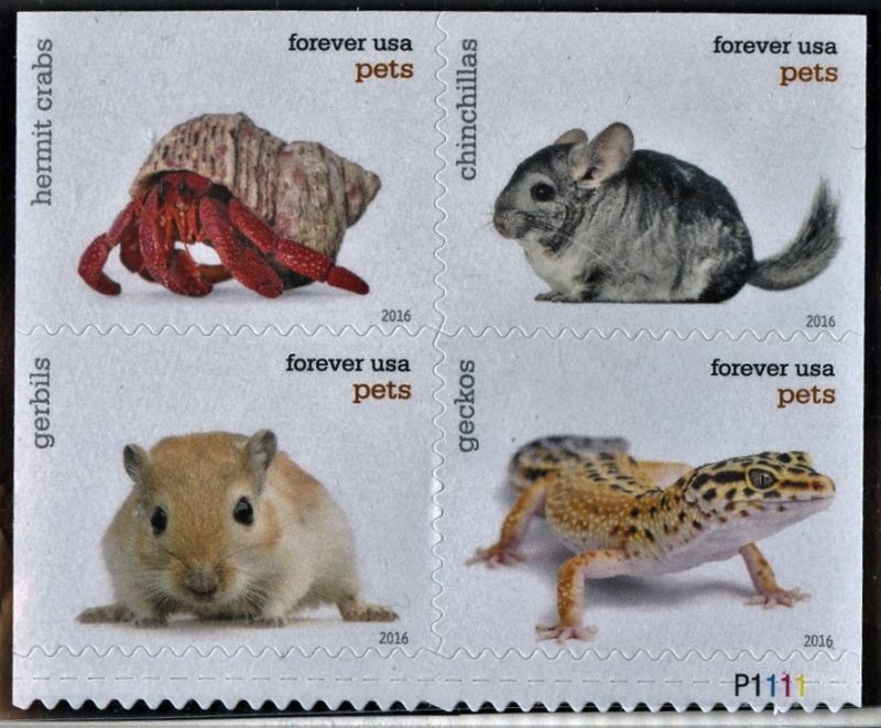 SCOTT 5118-21 PETS -  BLOCK OF 4 MNH & 1 DUMPSTER STAMP  MNH