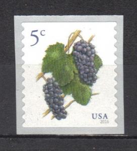 #5038 Single  Grapes  MNH (5 cent)