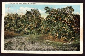 $Florida Machine Cancel Cover, Clermont, 11/23/1925 7 wavy lines flat slope down