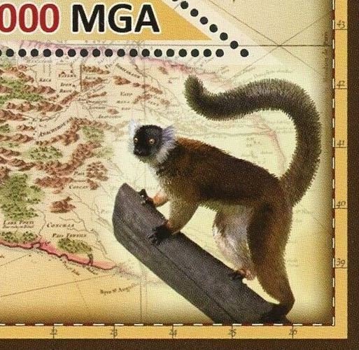 Fossa Fossana Stamp Fauna Wild Animal Souvenir Sheet Mint NH