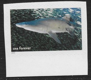 US #5713n (60c) National Marine Sanctuaries -Sand Tiger Shark ~ MNH