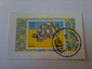 DHUFAR SHEET USED REPTILS TURTLES