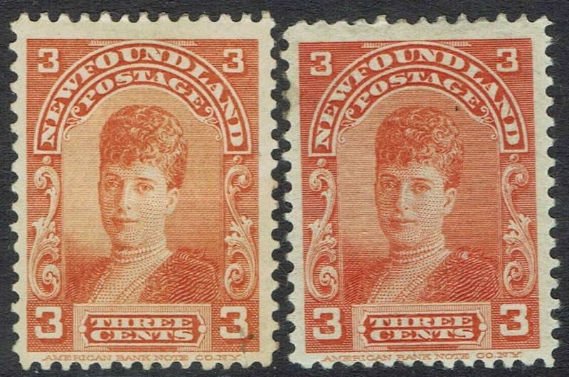 NEWFOUNDLAND 1897 PRINCESS OF WALES 3C BOTH SHADES