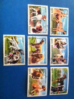 Romania 1990 - 7 Fauna Mammal Domestic Animal Dog Canina Boxer Pet Stamps used