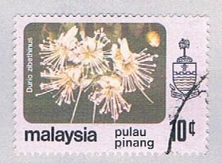 Malaysia Penang 84 Used Durio zibethinus (BP24516)