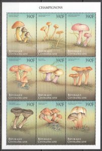 Uu0954 Central Africa Flora Nature Mushrooms Champignons Kb Mnh