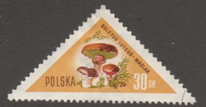 Poland 843 Mushroom
