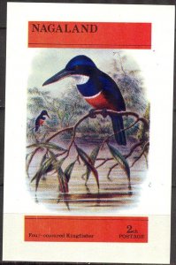 Nagaland Birds (3) Kingfisher S/S MNH
