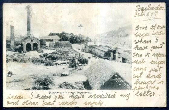 1902 Barbados Postcard 1d red used to Jersey United Kingdom, squared circle